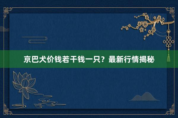 京巴犬价钱若干钱一只?最新行情揭秘