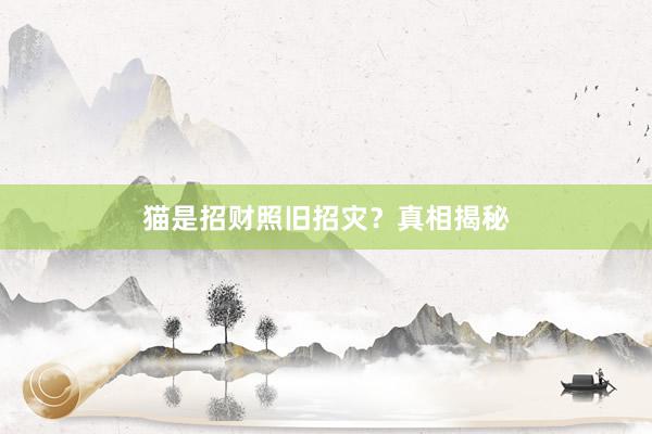 猫是招财照旧招灾？真相揭秘