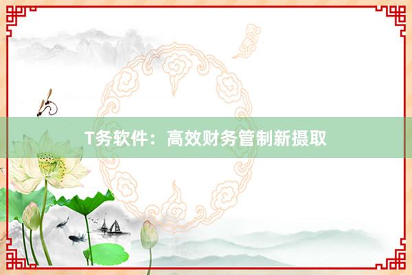 T务软件:高效财务管制新摄取